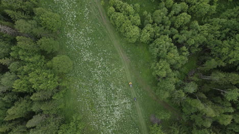 vista aérea de un sendero forestal con personas en atv