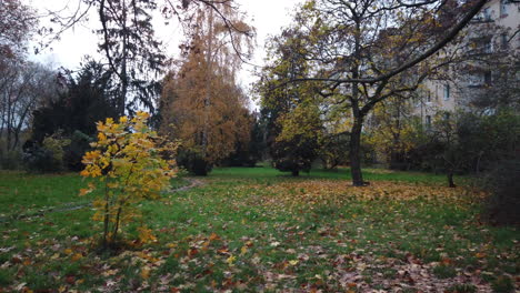 Herbst-Im-Berliner-Park-Schwenk-Nach-Rechts-59,94-Osmo-Djii-Pocket-4K-10-Sek.-Teil-B