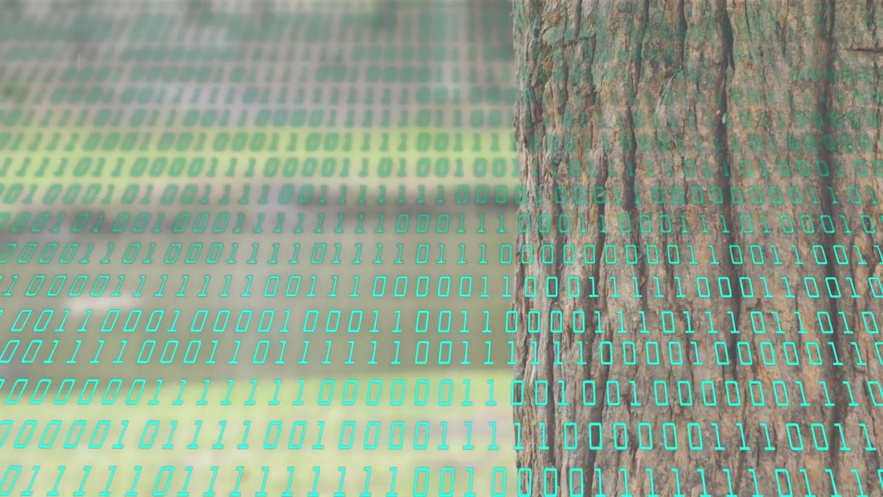 Playing, teal binary overlay pulsing across static tree trunk and blurred slats, creating tech mood