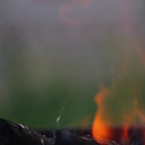 wooden logs burning in fireplace