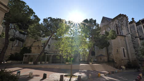 sun beams on a tree near a church in montpellier city center blue sky