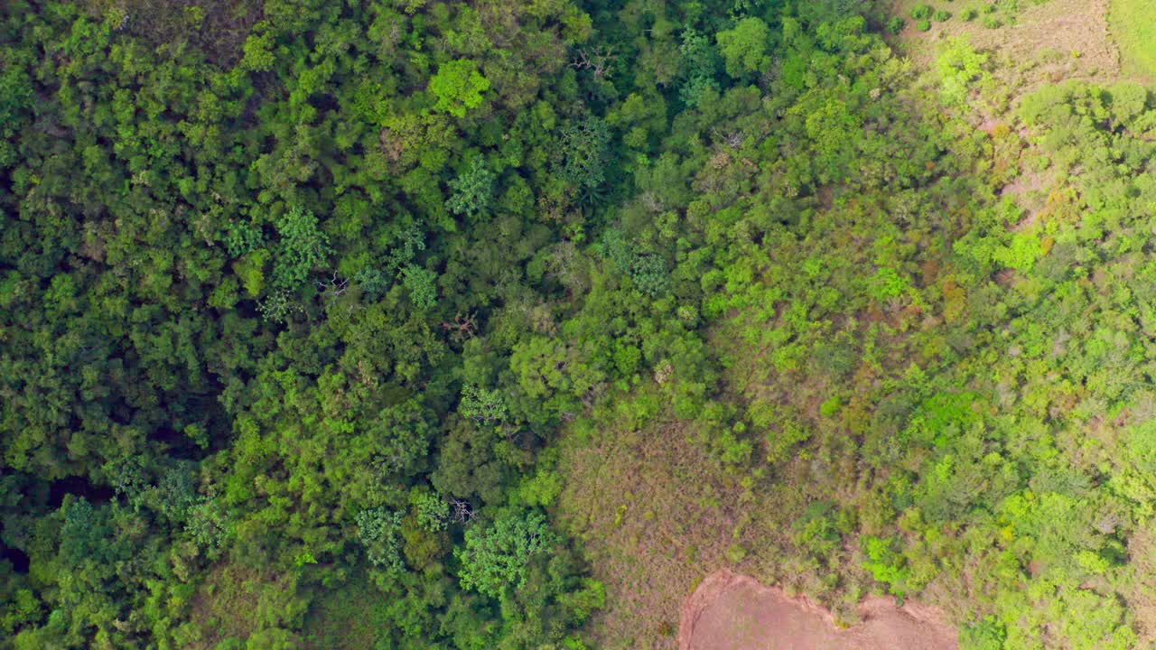 aéreo de arriba hacia abajo sobre el bosque en san jose de ocoa en republica dominicana