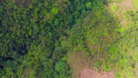 Aerial-top-down-forward-over-forest-at-San-Jose-de-Ocoa-in-Dominican-Republic