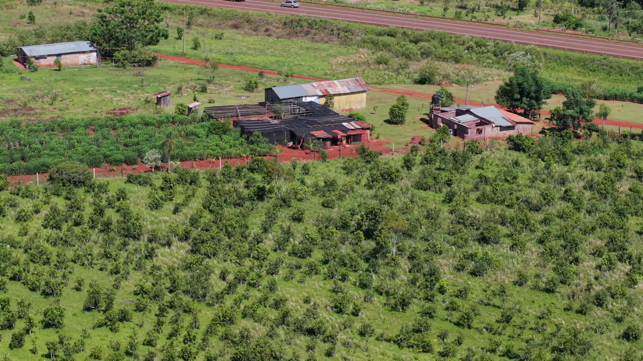 Aerial View of Rural Farmstead with Lush Greenery, Yerba Mate, Agriculture