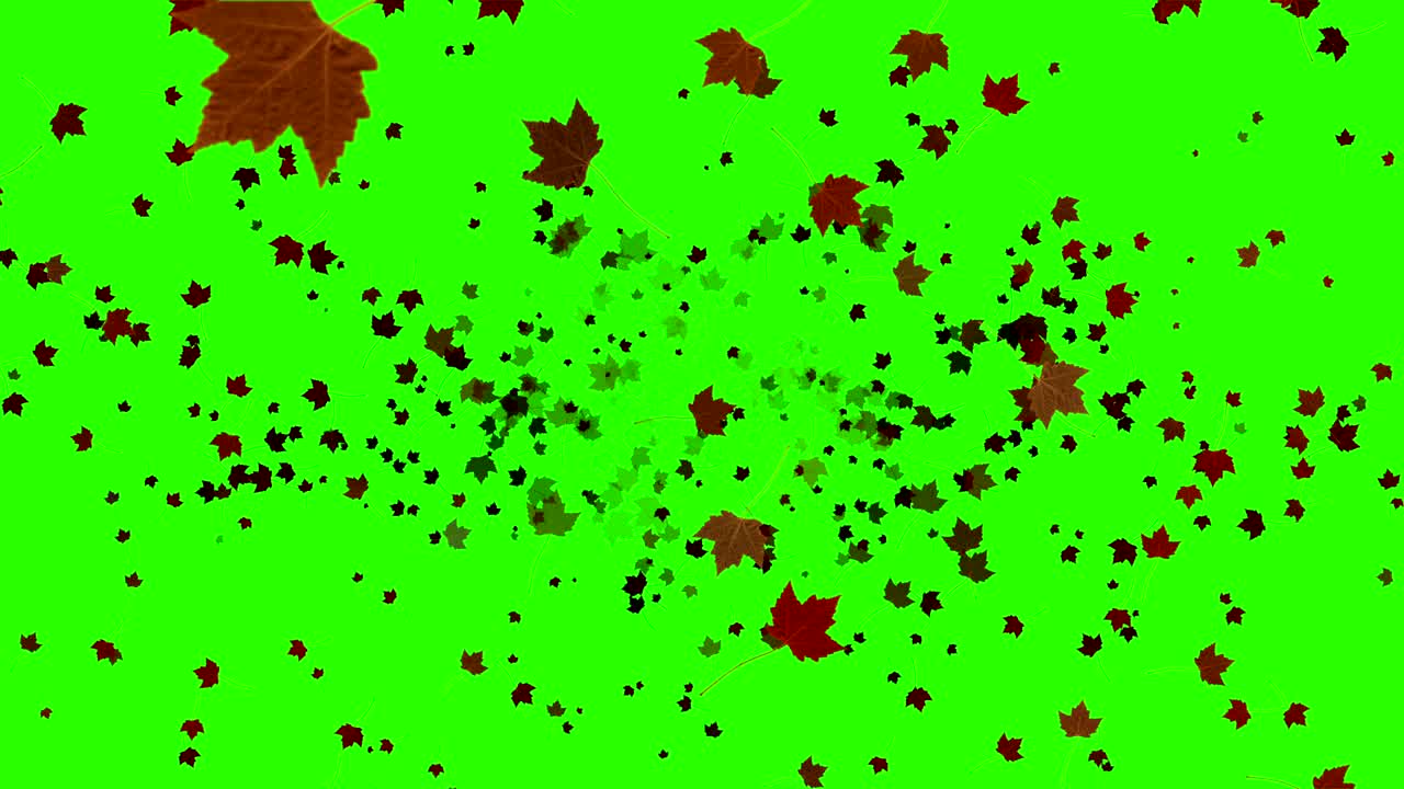 노란색, 갈색, 빨간색, 다채로운 잎, 가을 색, 위에서 아래로 떨어지는 크로마 키, 녹색 스크린 배경, 잎 가을 계절