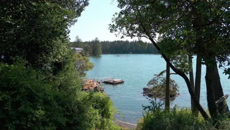 a shot of the beach and docks of view royal, victoria, canada