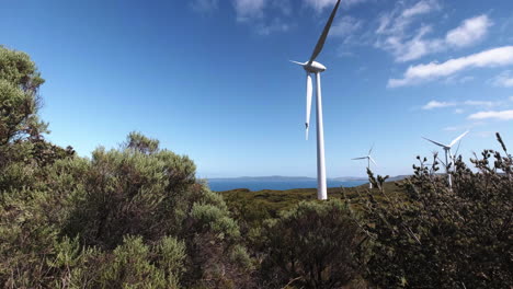 Dolly-Forward-In-Einem-Windpark-In-Westaustralien