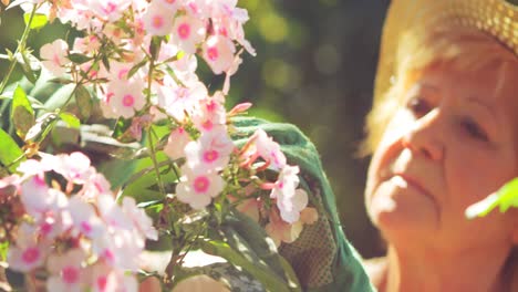 Ältere-Frau-Schneidet-Blumen-Im-Garten