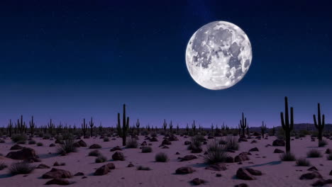 desert landscape at night under a full moon