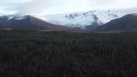 forest of trees aerial pan up revealing snowy mountains in the background, isle of arran