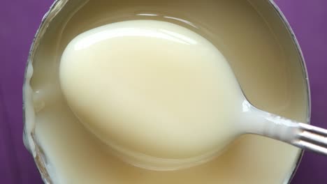 canned sweetened condensed milk with spoon