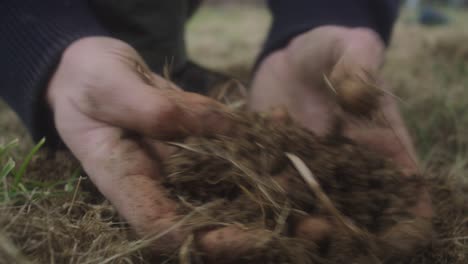 hands-playing-with-soil-and-grass