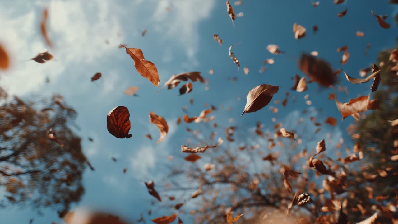 A Captivating Scene of Autumn Leaves Dancing in the Breeze Against a Bright Blue Sky and Soft Clouds, Showcasing the Beauty of Nature's Seasonal Change