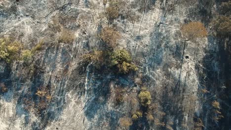 Vista-Aérea-De-Un-Incendio-Reciente-Cerca-De-Una-Ciudad