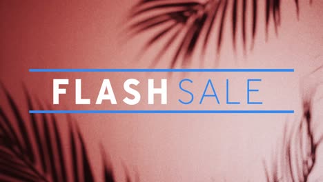 Animation-Von-Flash-Sale-Text-über-Nahaufnahme-Von-Flüssigkeit-Und-Kugeln