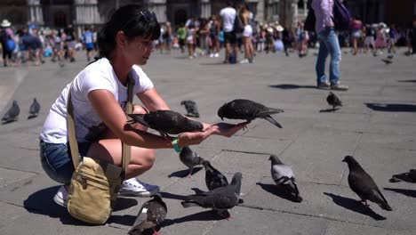 mujer turista alimentando palomas en la plaza de san marcos, venecia, italia