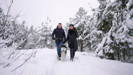 Waist-up-portrait-of-happy-modern-couple-playing-with-cute-Husky-puppy-outdoors-in-winter,-focus-on-Asian-man-smiling-at-camera