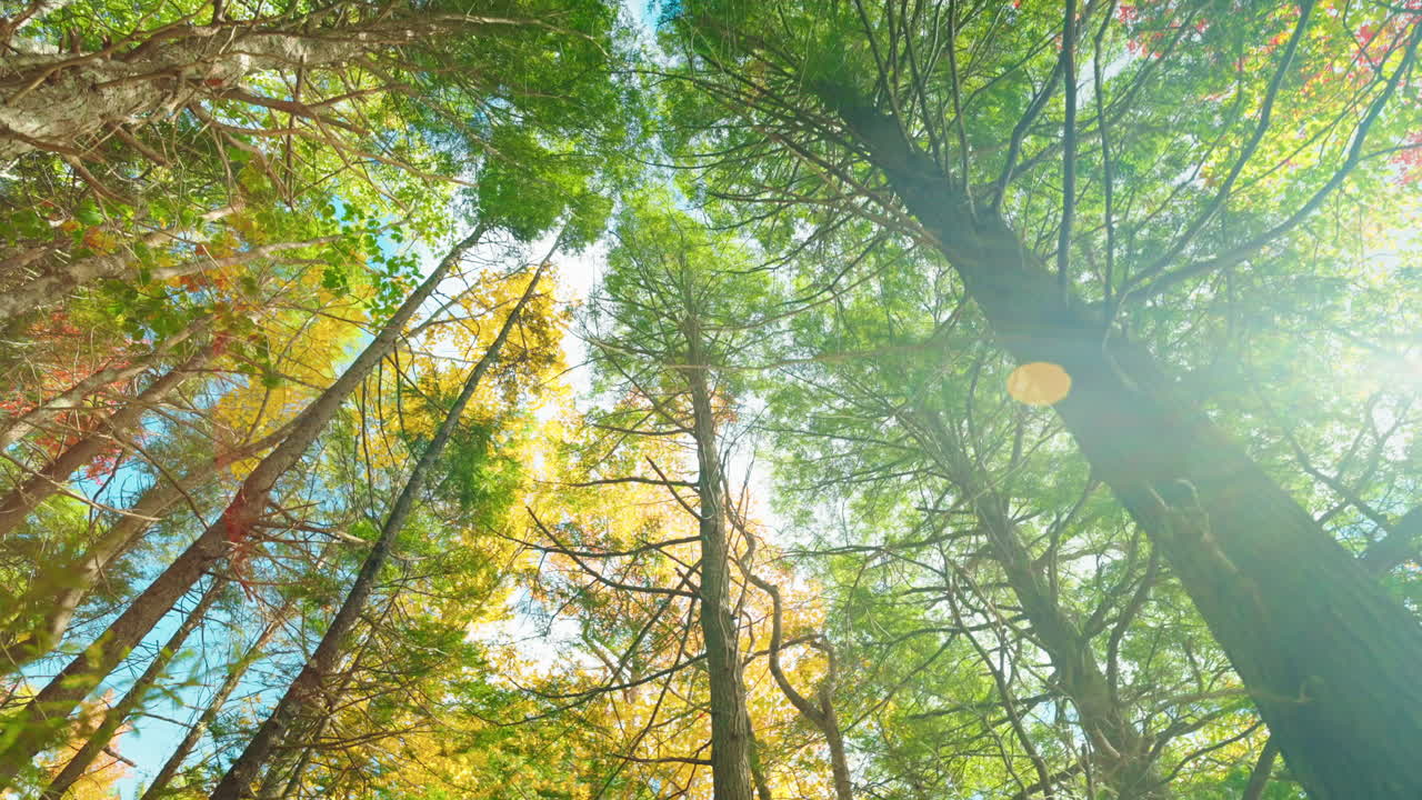 Walking around the Kejimkujik National Park in autumn. Trail view of the forest trees and colorful foliage. Fall colors. Sun rays coming through the leaves. Peaceful discovery of nature.