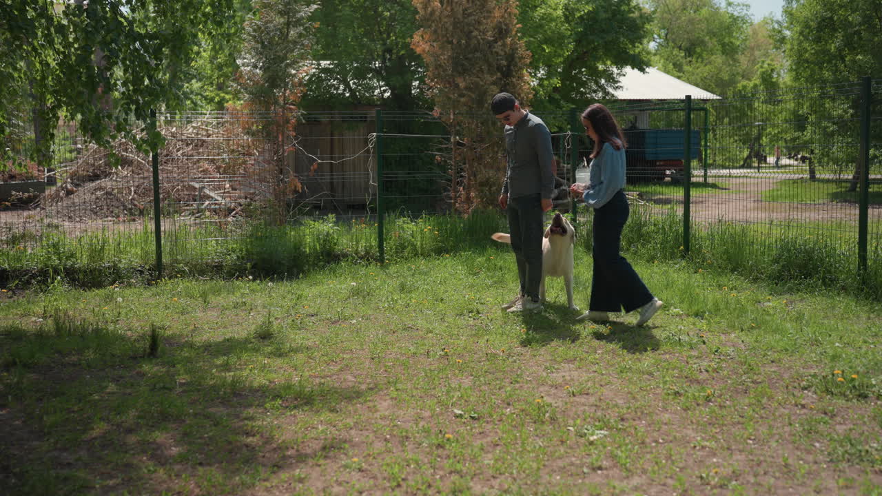park dog walk, relaxed walk with pet in sunny garden, individuals enjoying leisurely outdoor dog walk nearby fencing, pair leisurely strolling with their pet in sunlit backyard environment