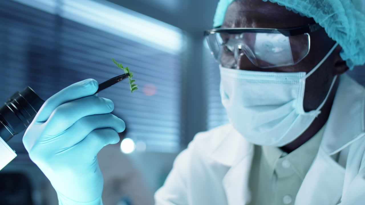 African American Scientist Examining Plant Leaf in Lab