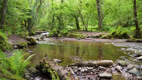 Vista-De-4k-De-Un-Poco-De-Agua-Dulce-Que-Fluye-Por-El-Río-Horner-En-Los-Bosques-De-Horner-En-Medio-Del-Parque-Nacional-De-Exmoor,-30ffs