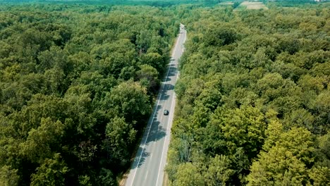 Drohnenaufnahmen-Aus-Der-Luft,-Die-Eine-Limousine-Verfolgen,-Die-Auf-Einer-Leeren-Straße-Fährt,-Die-Von-Einem-Wunderschönen-Großen-Wald-Umgeben-Ist