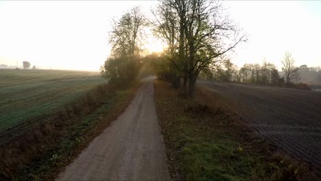 gravel road between trees without leaves in a sunny autumn morning