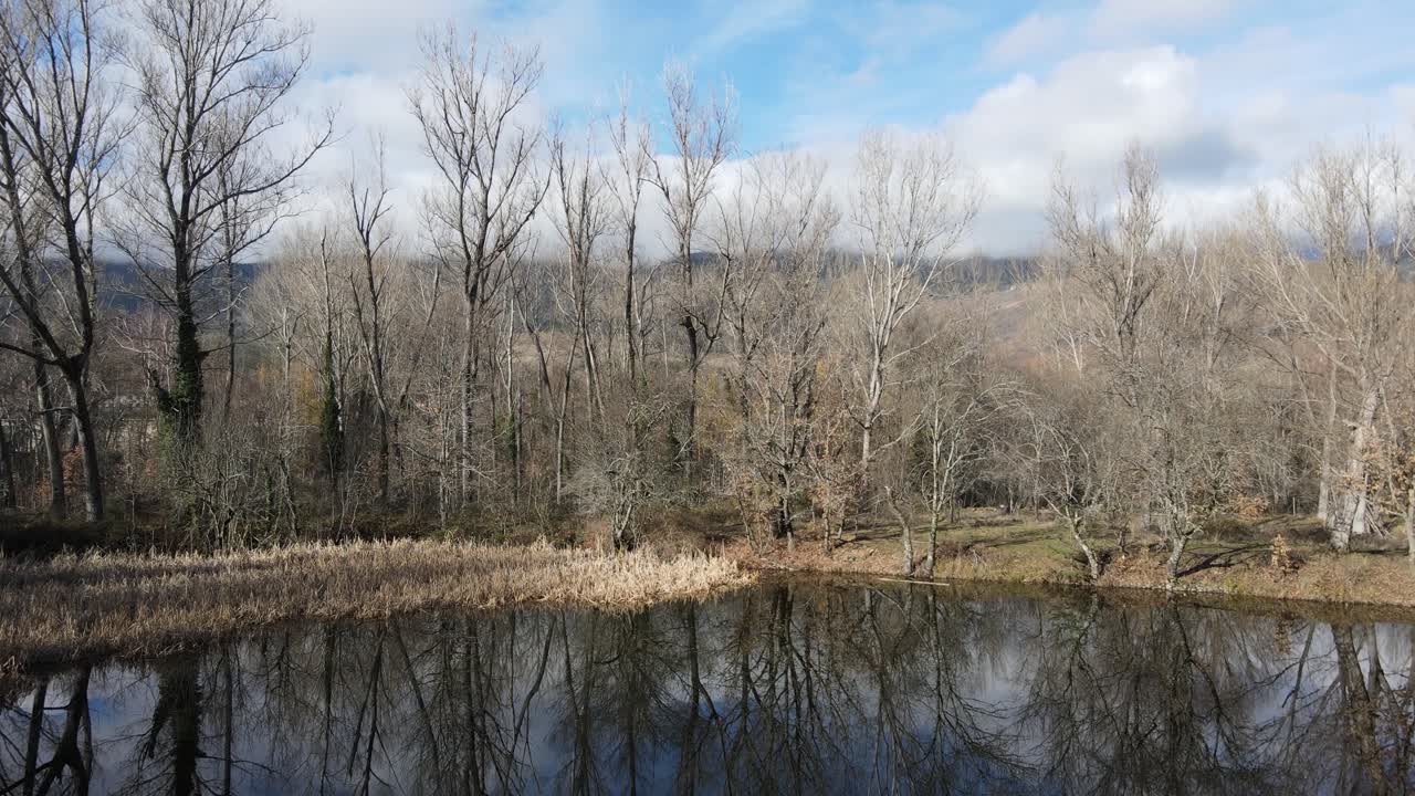 호수 위를 날아가는 모습, 벌거벗은 나무와 물 위에 흰 구름이 있는 푸른 하늘의 반사