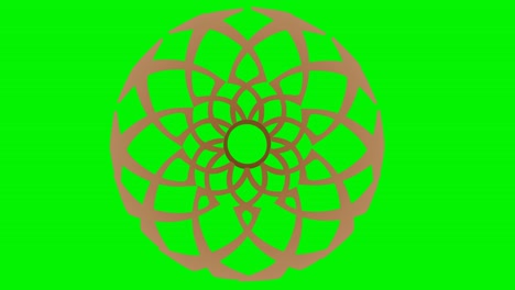 pantalla verde cinética de la floración de la flor