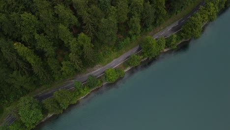 스위스 호수 근처의 울불한 숲 klöntalersee glarus klöntal 계곡