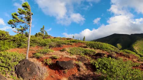 FPV-Luftaufnahme,-Die-Zeigt,-Wie-Drohnenbetreiber-Erstaunliche-Videos-Auf-Dem-Gipfel-Des-Molokai-Gebirges-Aufnehmen