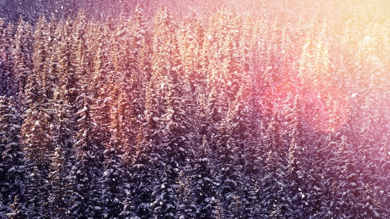 Sunlight rays shining over trees in snow-covered forest, creating magical animation