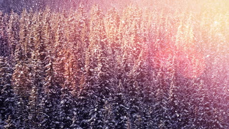 sunlight rays shining over trees in snow-covered forest, creating magical animation