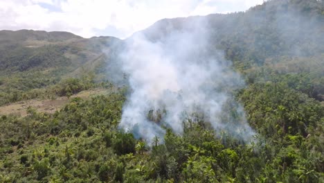 Panoramic-aerial-view-of-a-uncontrolled-fire,-forest-vanishing-in-the-highlands