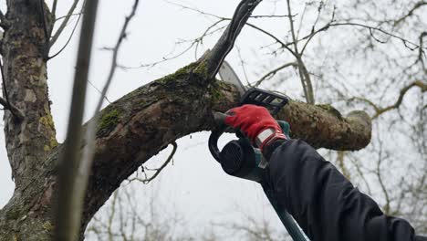 persona que usa una motosierra eléctrica para cortar cuidadosamente un gran tronco de un árbol seco