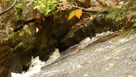 pan shot follows fresh water flowing along rocks, cascade landscape in national park, canada