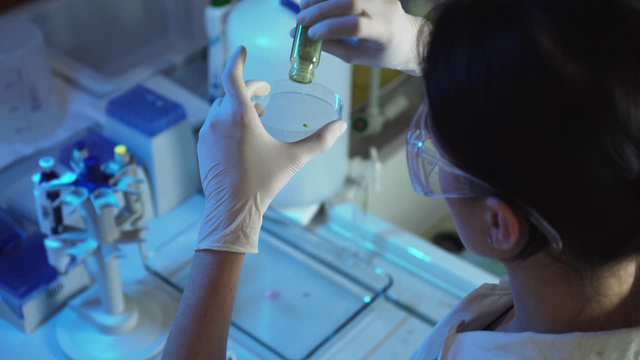 Food quality control in laboratory, female pouring green BIO powder into petri dish, closeup view