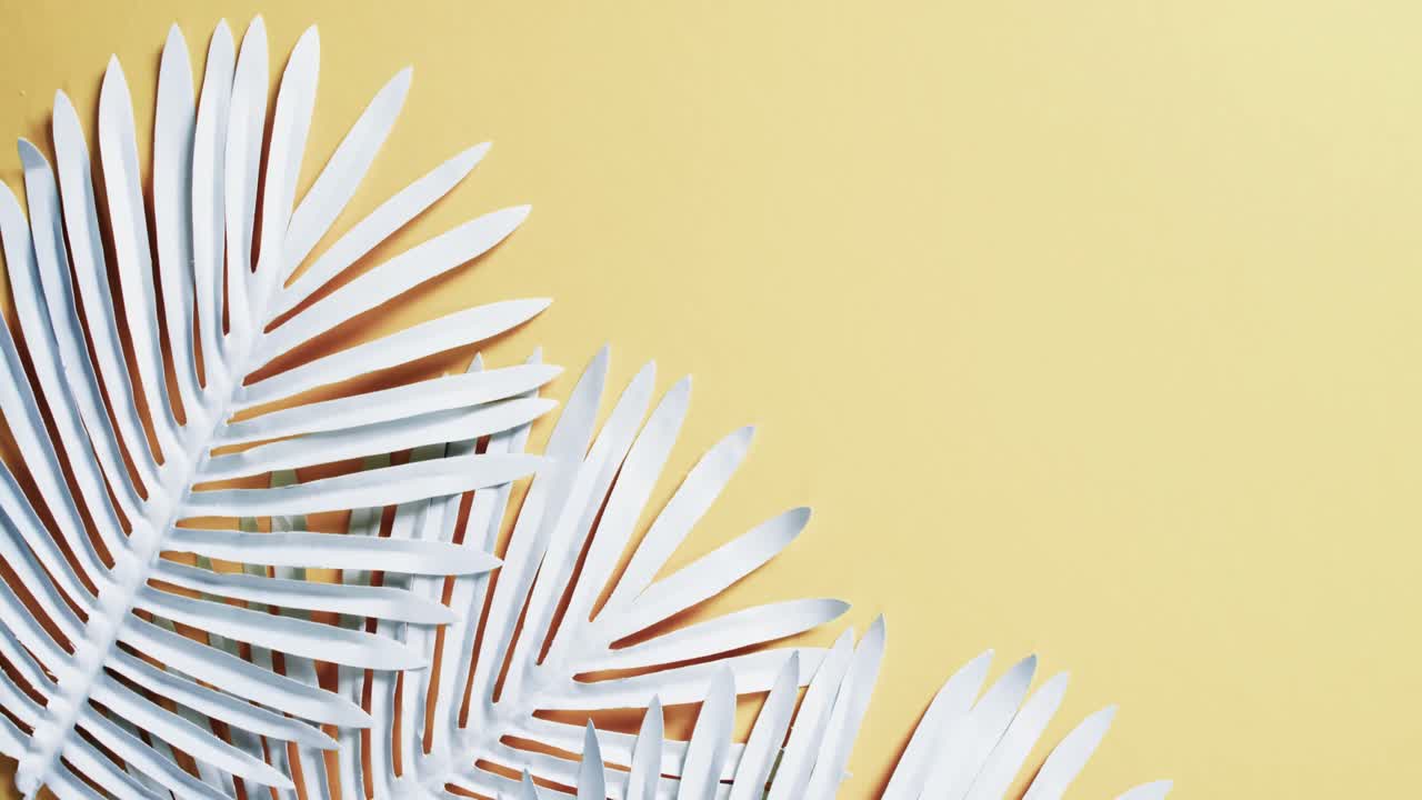 Video of white plant leaves with copy space on yellow background