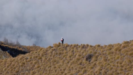 excursionista femenina en la cresta cubierta de hierba de tussock por encima de la inversión de nubes en queenstown, nz