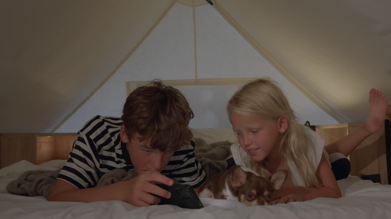 형제와 여동생은 밤에 침대에서 강아지와 함께 놀고 있습니다.