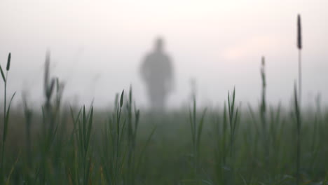 Nightmare-man-silhouette-approaching-on-field-of-mist-4k