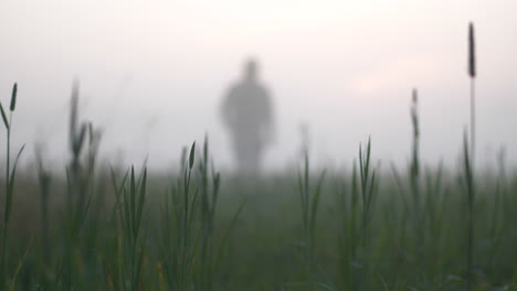 Silueta-De-Hombre-De-Pesadilla-Acercándose-En-El-Campo-De-La-Niebla-4k