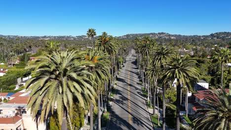 a palm tree lined street surrounded by lush greenery and bright houses under a clear blue sky in los scenic view of a palm tree lined street surrounded by lush greenery and bright houses under a clear blue sky in los angeles city
