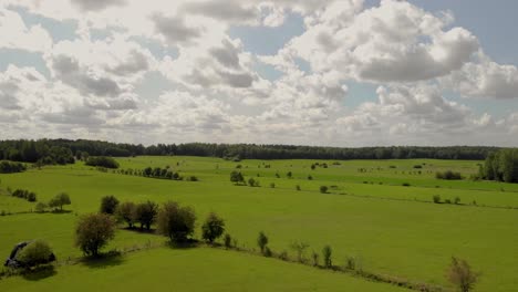 Aerial-footage-over-green-meadow,-sky-is-blue-and-white-clouds,-below-is-green-grass,-trees-and-some-paths,-Eastern-poland