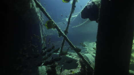 Ss-Thistlegorm-Es-Uno-De-Los-Naufragios-Más-Famosos-Del-Mundo-Que-Transportaba-Equipo-Militar-Durante-La-Segunda-Guerra-Mundial,-Atrae-A-Muchos-Buzos-Por-La-Cantidad-De-Carga-Que-Se-Puede-Ver-Y-Explorar