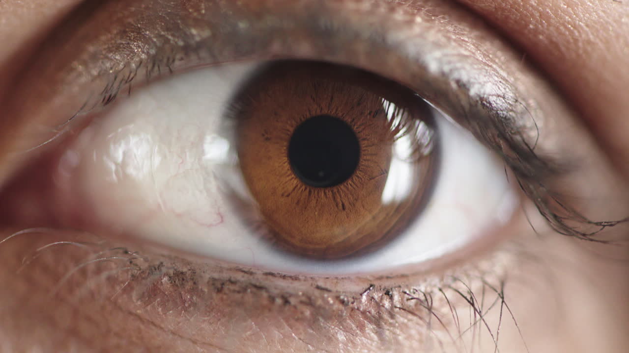 메이크업 화장품 마스카라를 착용하고 있는 갈색 눈을 가진 여성