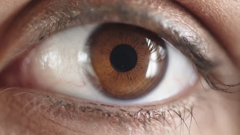 mujer de cerca con ojos marrones que se abren buscando maquillaje cosméticos rímel