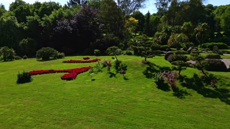 vibrant red flowerbed design on green lawn, with beautiful japanese garden in background, parc de haute bretagne, france. aerial drone low-altitude