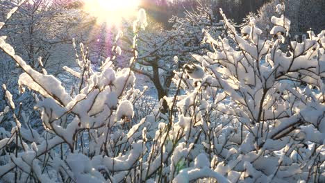 Winter-wonderland,-Lonely-chair-in-idyllic-garden-covered-by-snow