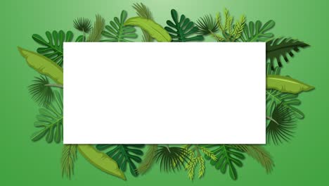 animated tropical leaves framing a blank space